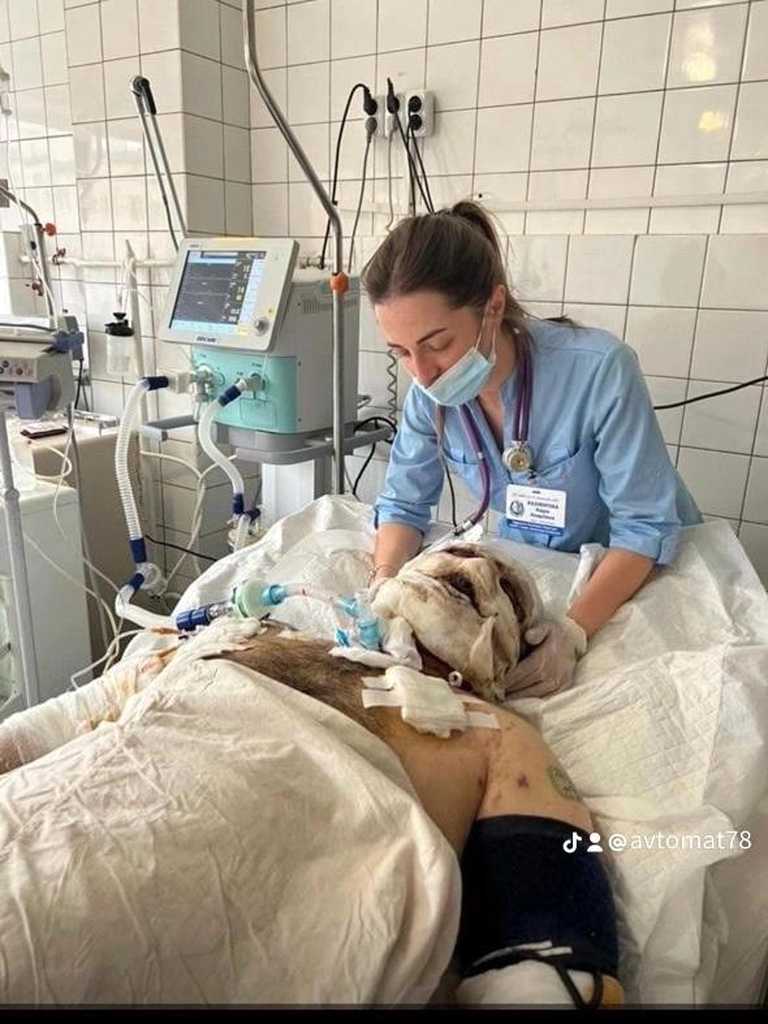 В одном из госпиталей