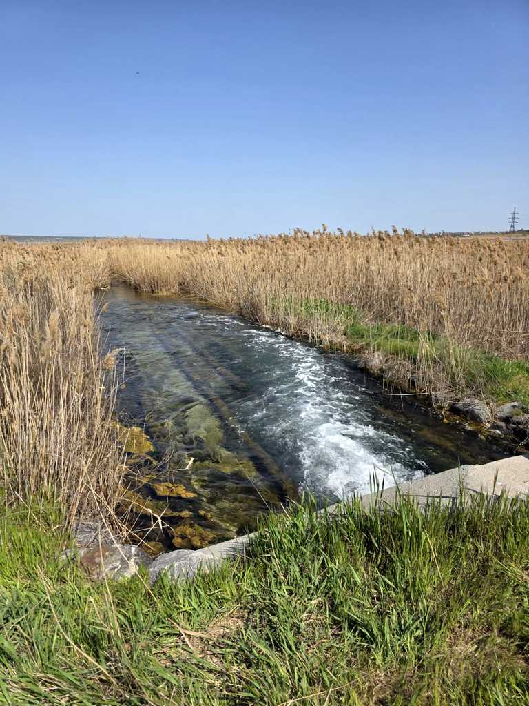 Витік морької води