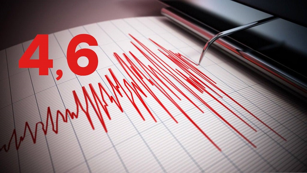 Землетрясение магнитудой 4,6 балла