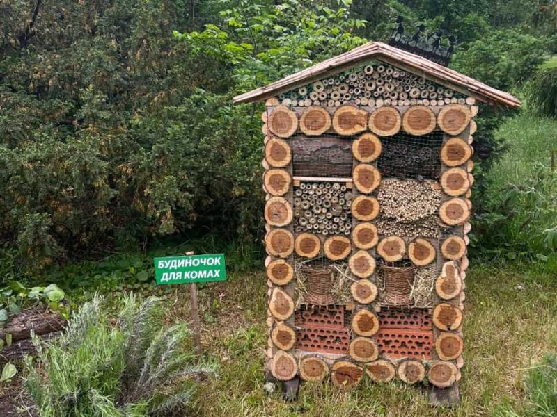 будинок для комах