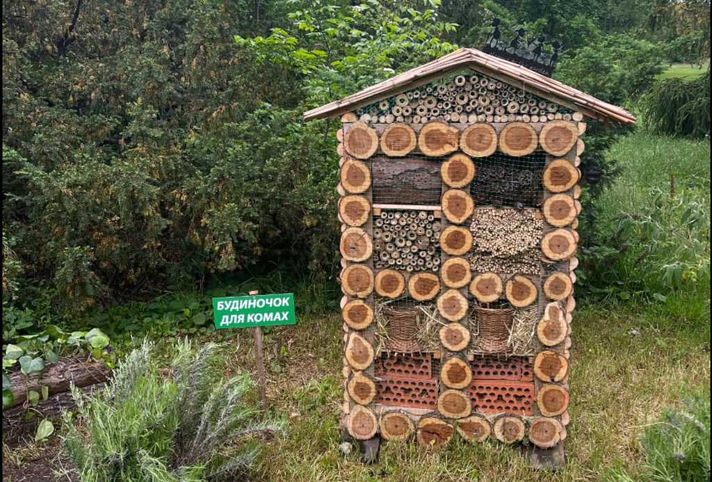 будинок для комах