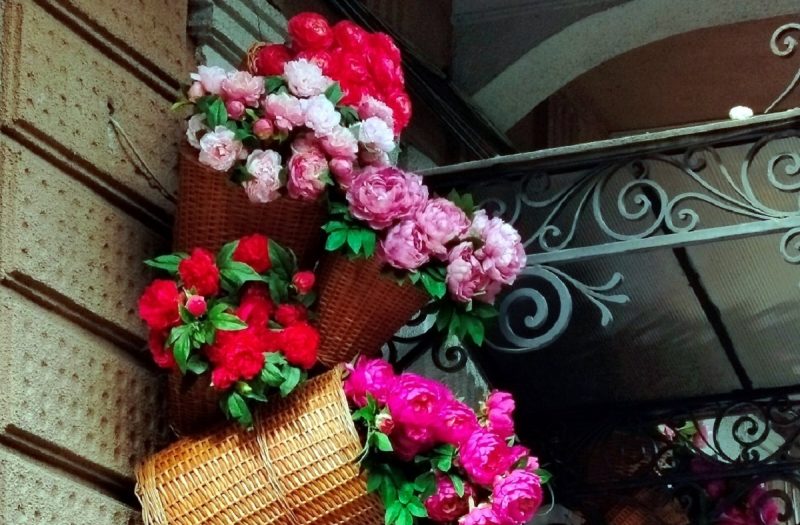 Одесская витрина