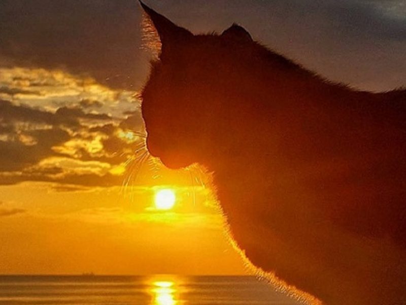 У моря в Одессе