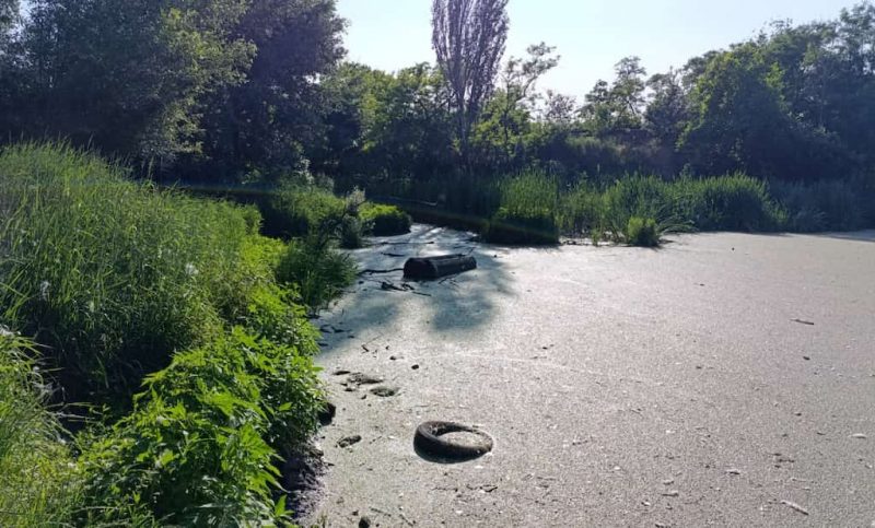 Савицкий парк