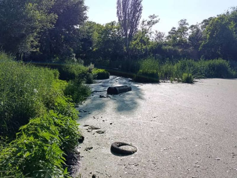 Савицкий парк