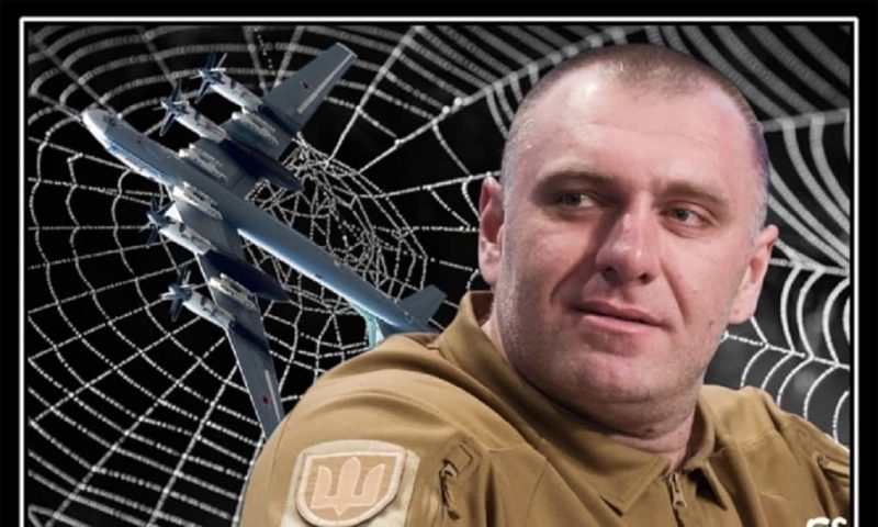 Операция "Паутина", мемы