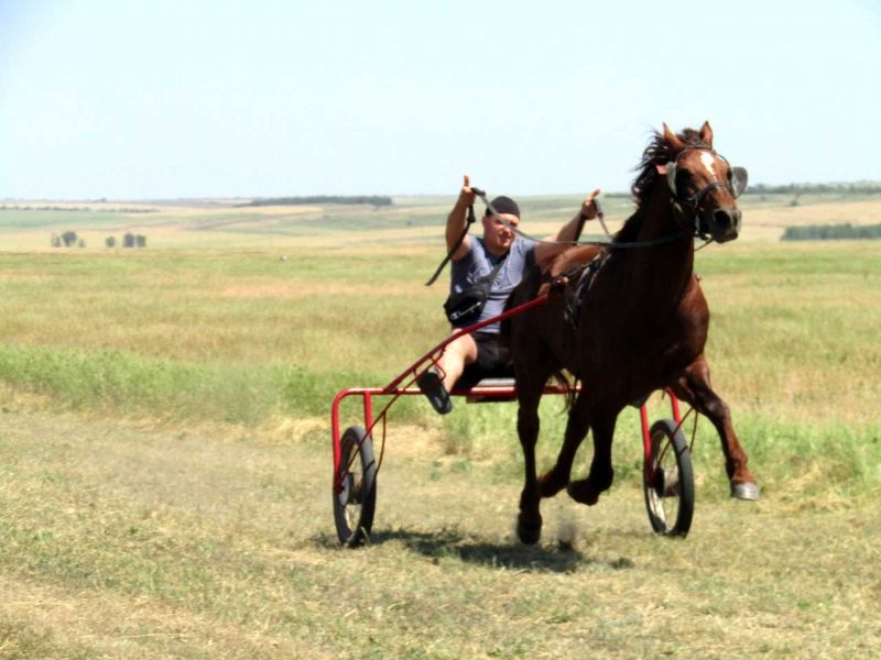 перегони