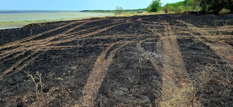 Пожар в Нацпарке "Тузловские лиманы"