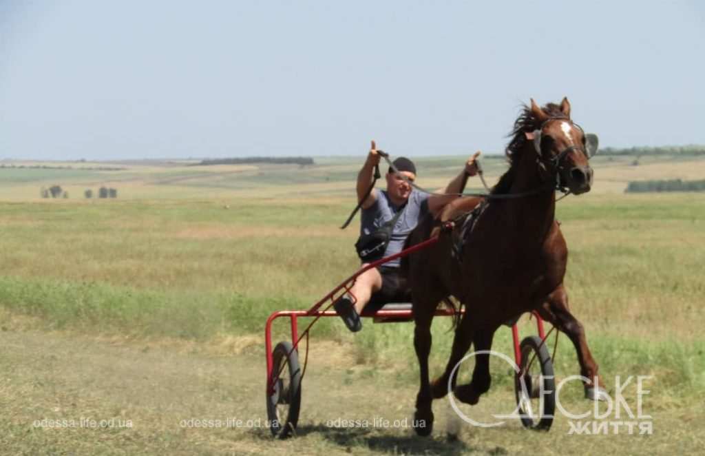 У Бородінській громаді на Одещині влаштували кінні перегони