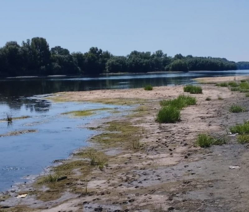 Дністер міліє