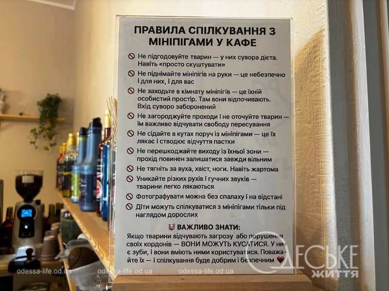 Hygge Pig Cafe в Одесі, правила для відвідувачів