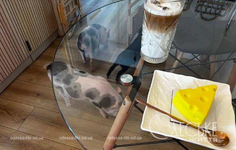Hygge Pig Cafe в Одесі, замовлення