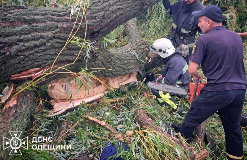 На Одесчине дерево обрушилось на палатку с подростками – один погиб