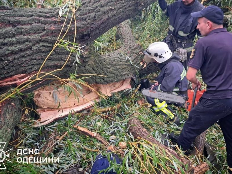 На Одесчине дерево обрушилось на палатку с подростками – один погиб