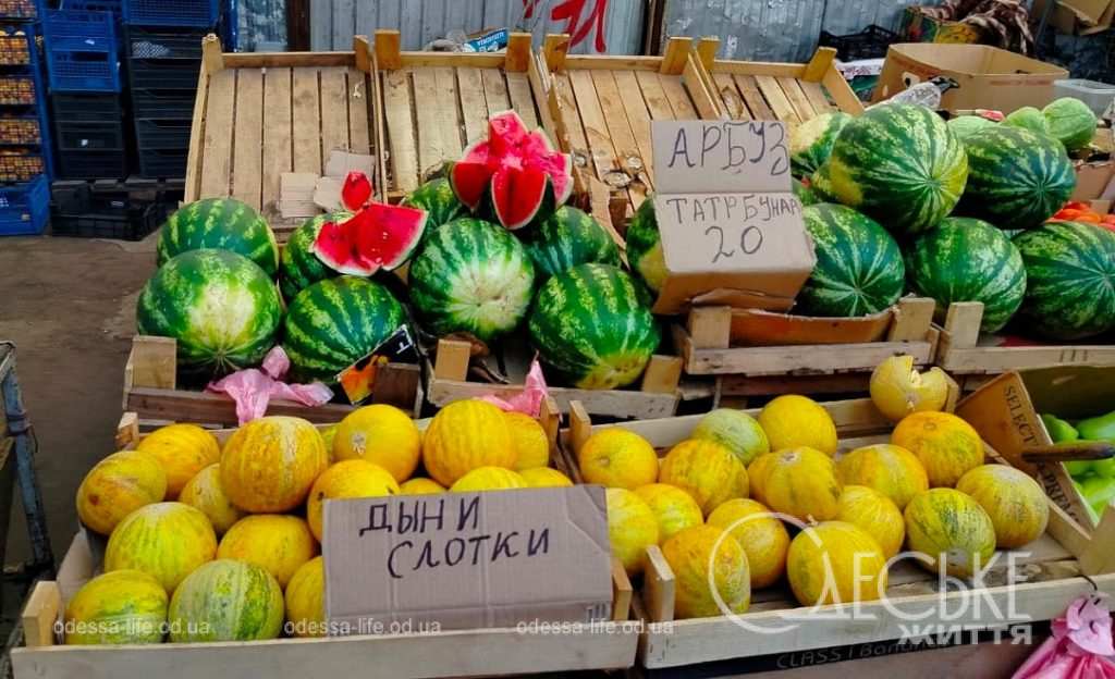 Цены на июльском Привозе в Одессе сегодня: главное, чтобы дыни были «слотки» (фото)