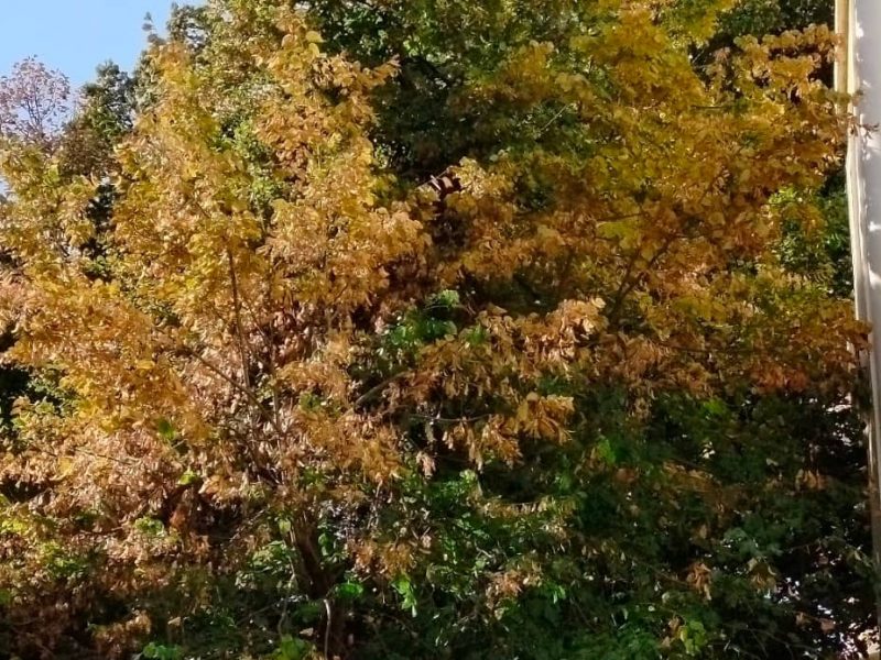 Август в Одессе: скоро осень