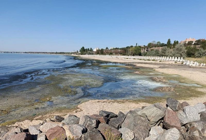 У берегов Одессы почернело море