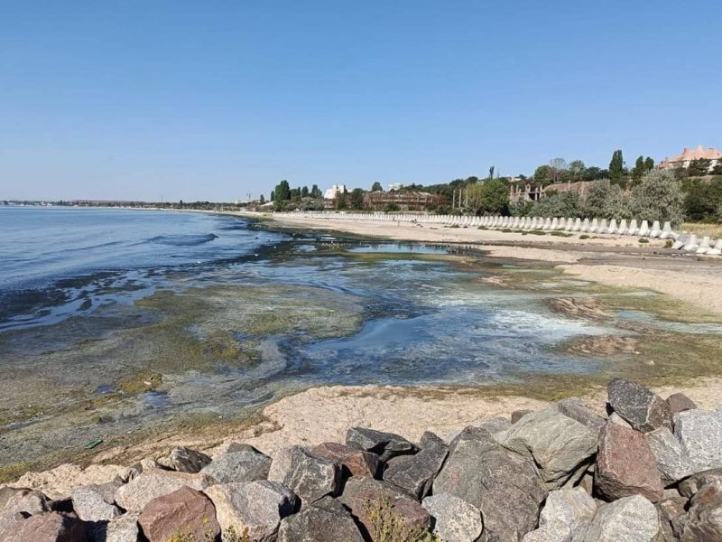 У берегов Одессы почернело море