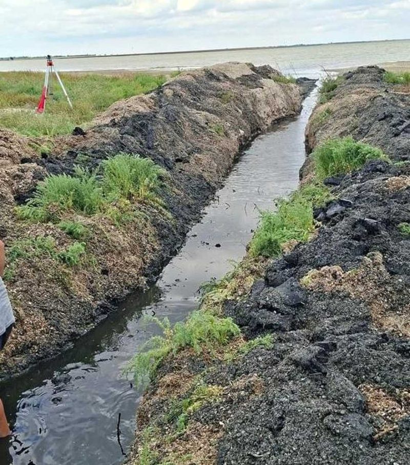 Тузл лимани