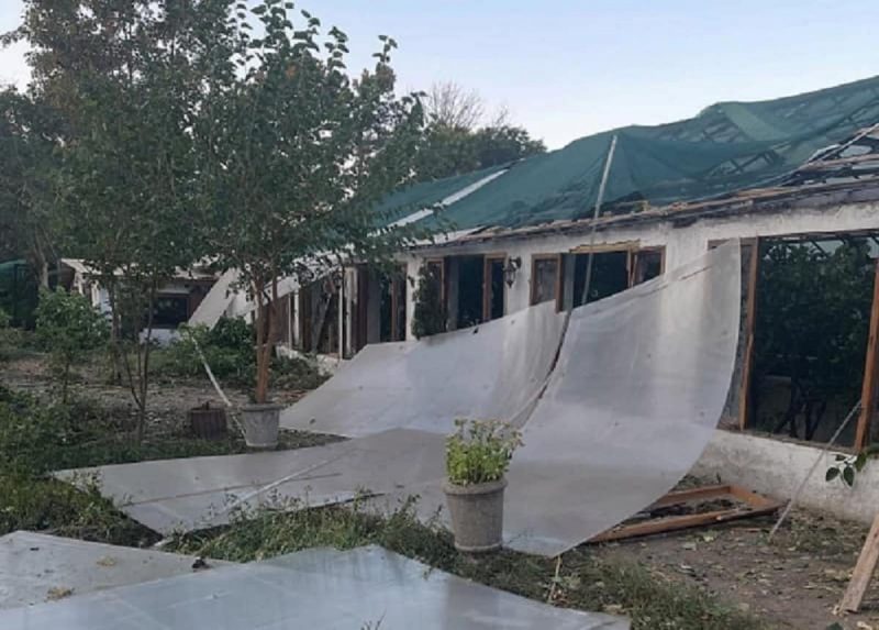 Одесский ботанический сад после атаки