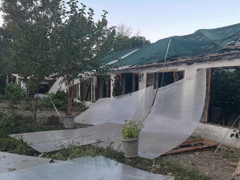 Одесский ботанический сад после атаки