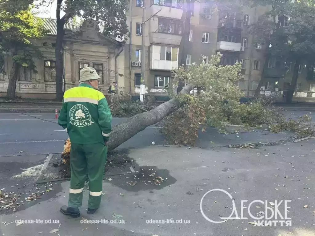 на Канатной упало дерево