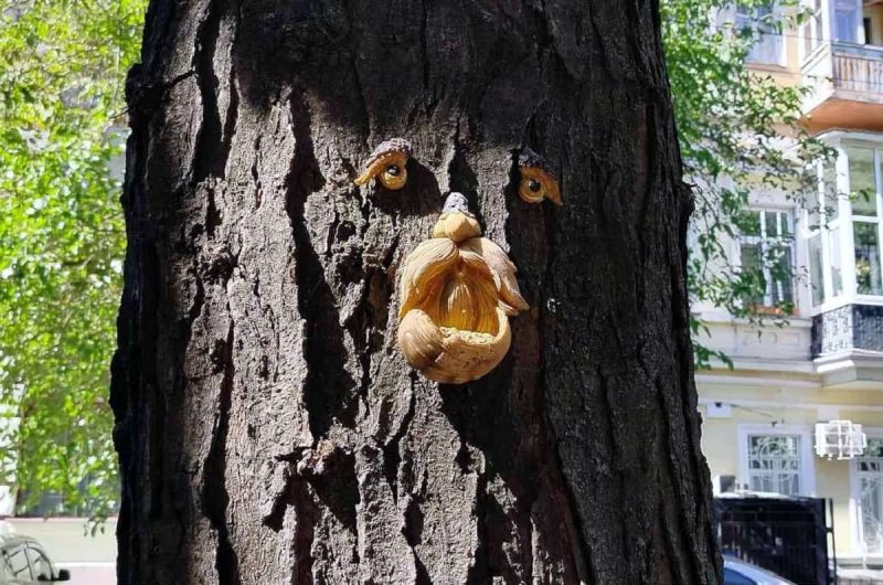 Фото дня: дерево