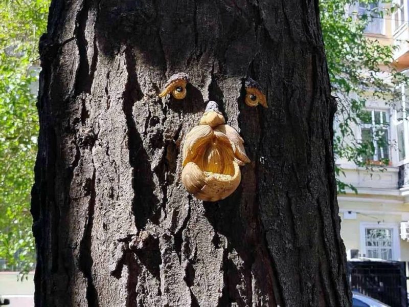 Фото дня: дерево