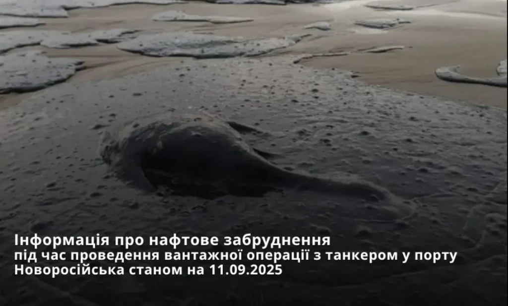 разлив нефти