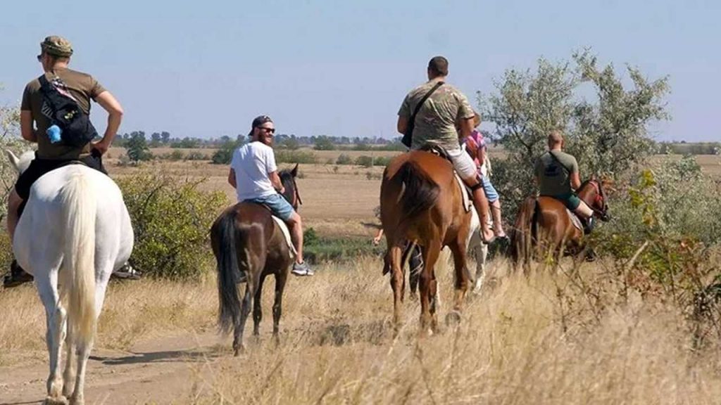 реаілітація коні