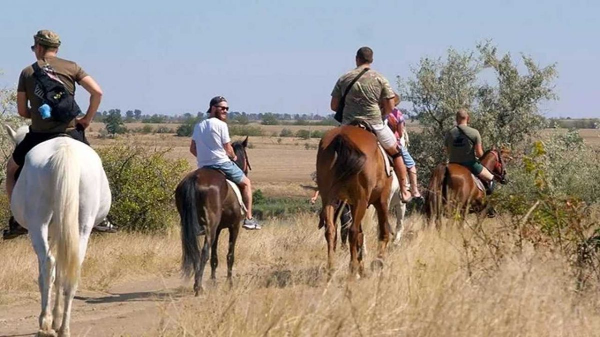 реаілітація коні