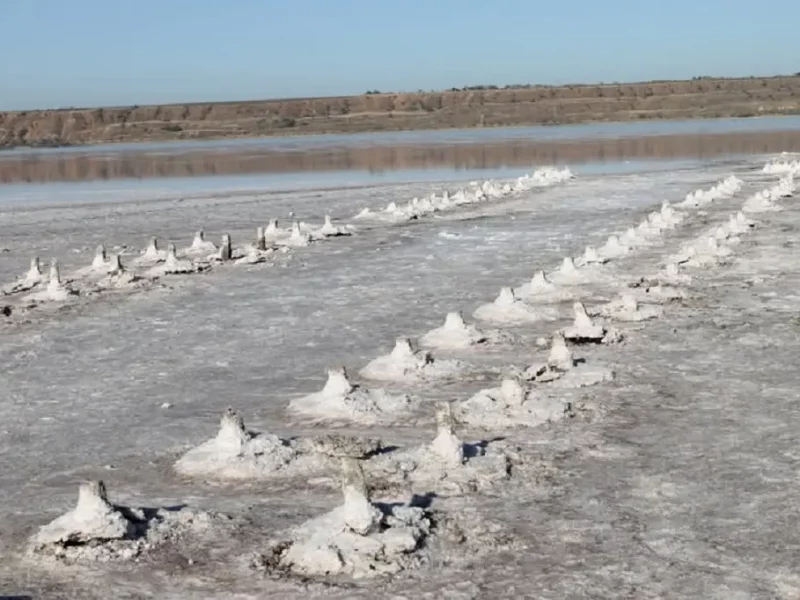 Сіль на Куяльнику