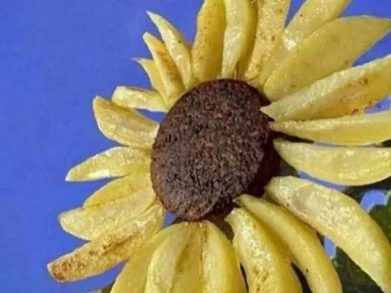 Юмор, сон на голодный желудок