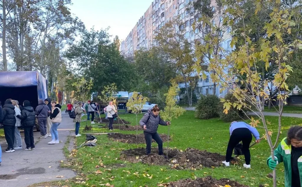 Одесский проспект украсят десятки ясеней и сахарных кленов