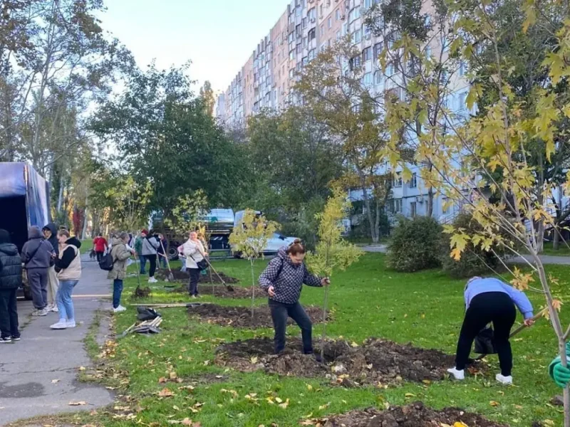 Одесский проспект украсят десятки ясеней и сахарных кленов
