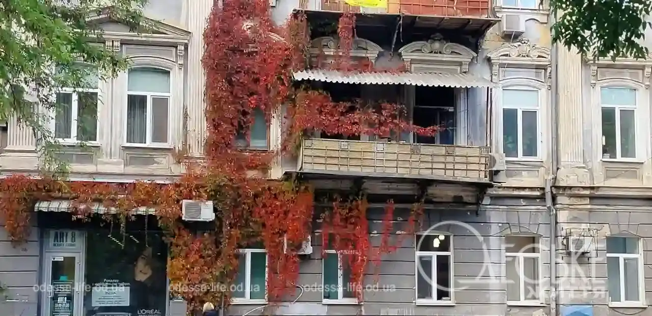 Плющ на будинку в Одесі