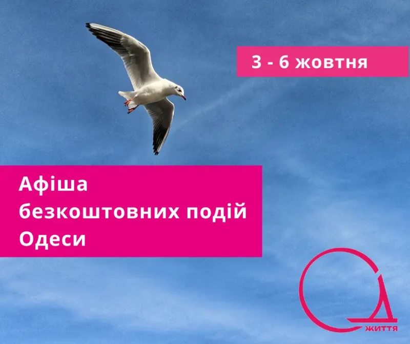 Бесплатка