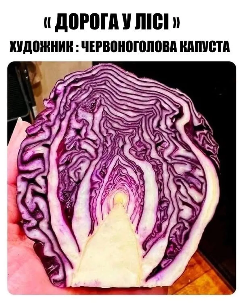 Червоноголова капуста