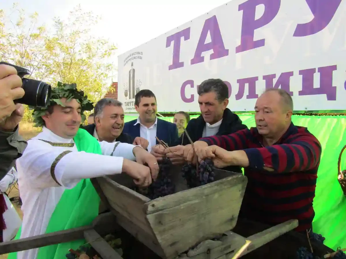 фестиваль вина у Фрумушиці