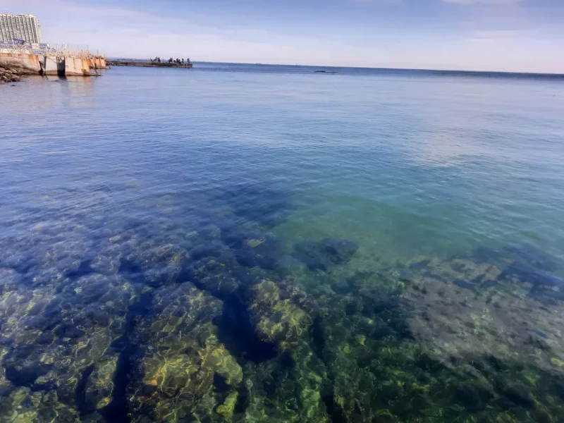 море