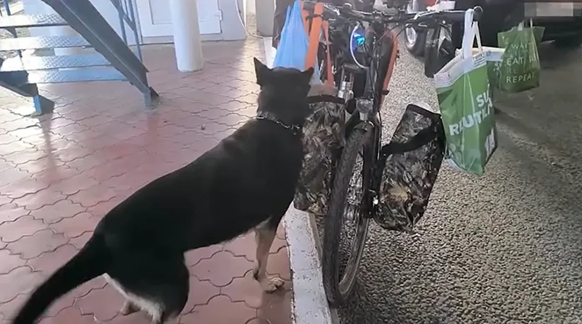 наркотики