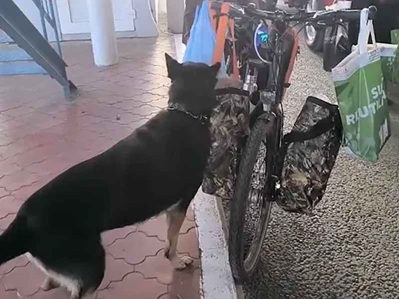 наркотики