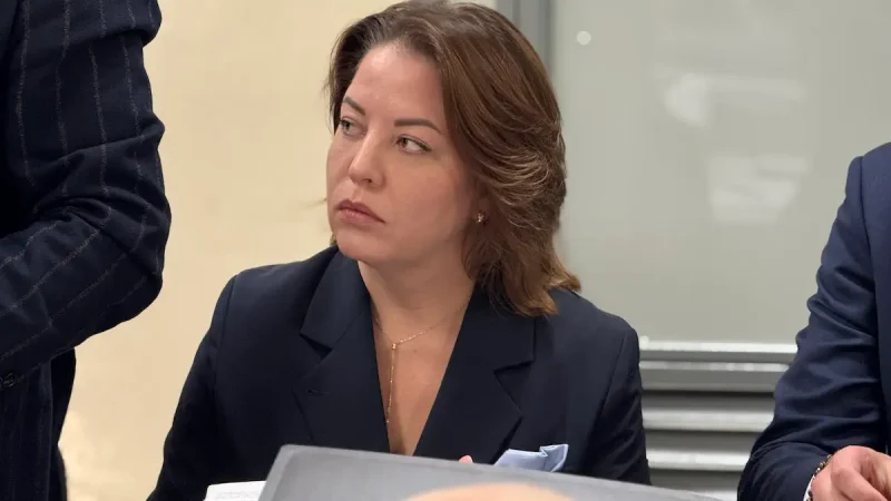 Анна Позднякова в суді