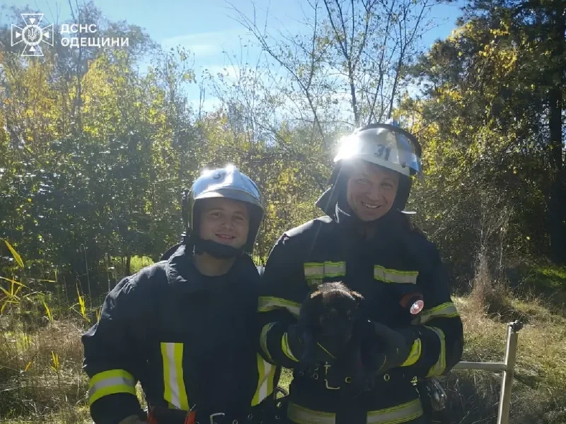 В Рени спасатели вытащили щенка из колодца