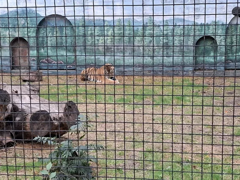 Одесский зоопарк после потопа
