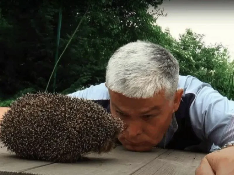 Игорь Беляков и ёжик