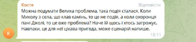 Візит Джолі, коментарі