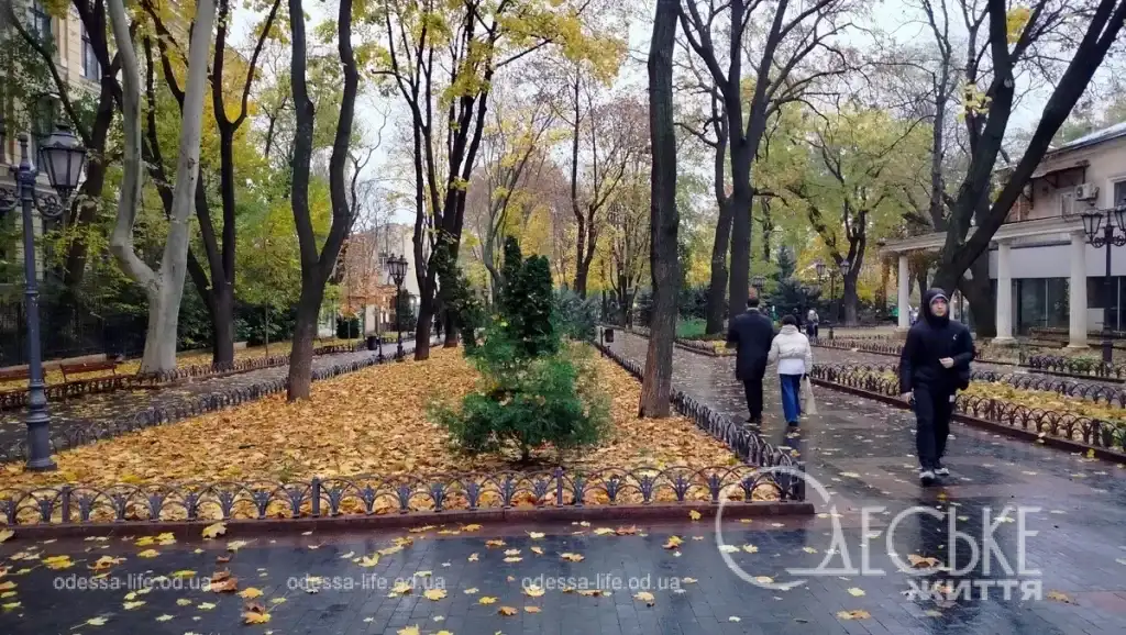 Листопадовий Міський сад Одеси: осіння тиша і дощова чарівність