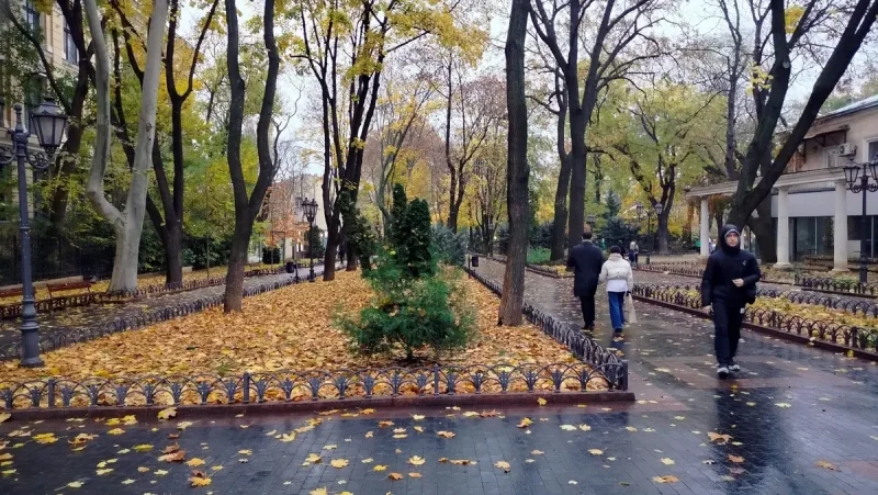 Листопадовий Міський сад Одеси: осіння тиша і дощова чарівність