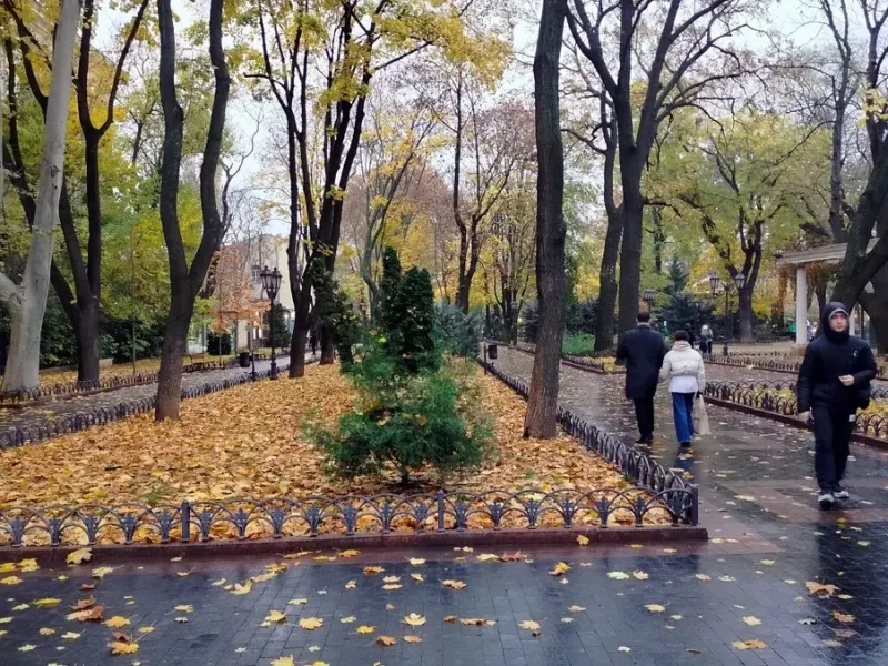 Листопадовий Міський сад Одеси: осіння тиша і дощова чарівність